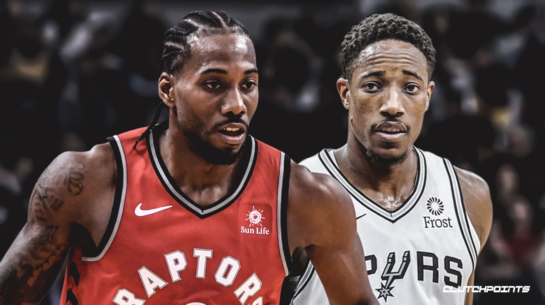 青训储备 青训储备